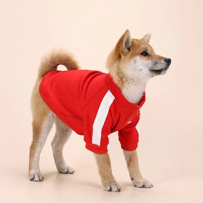 Dog tracksuit